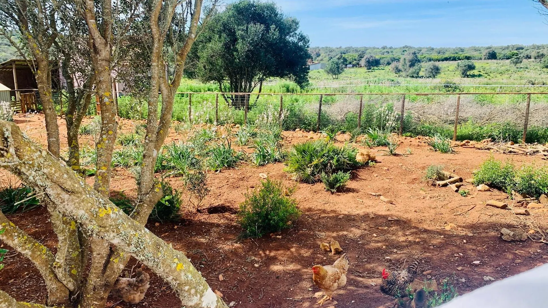 Villa Quinta Da Bela Vista à Lagos